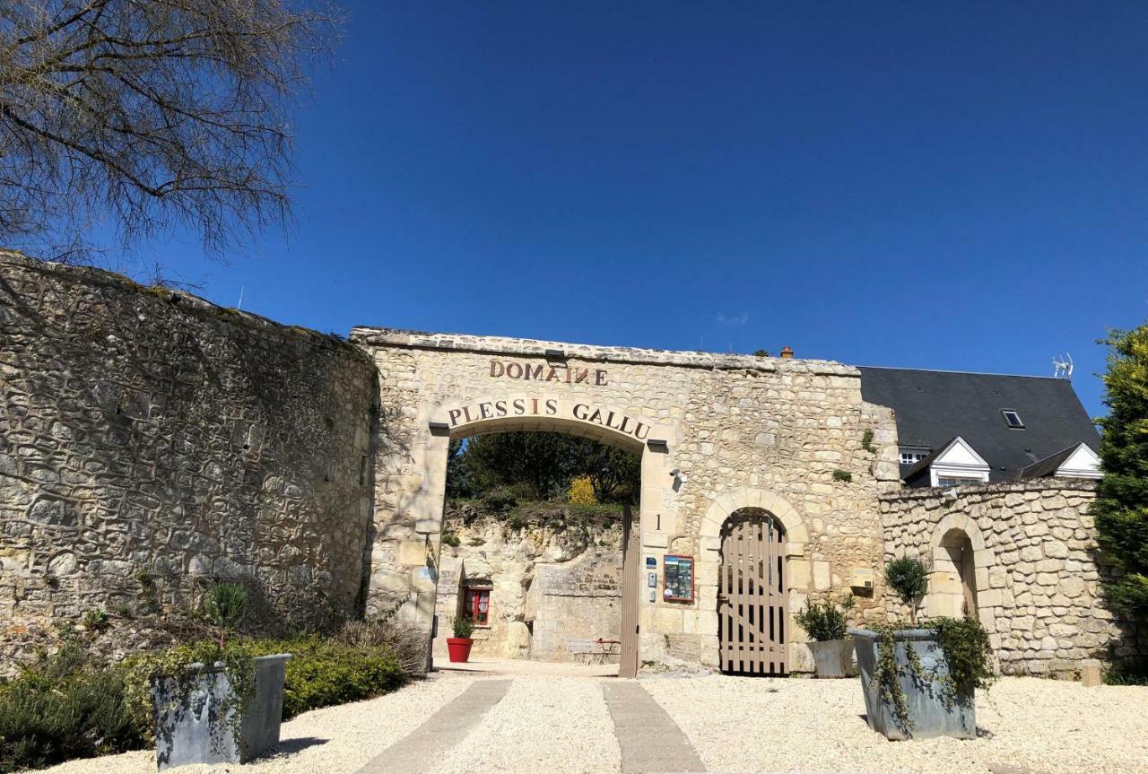 Casa vacanze Domaine Plessis Gallu - Vacation Azay-le-Rideau