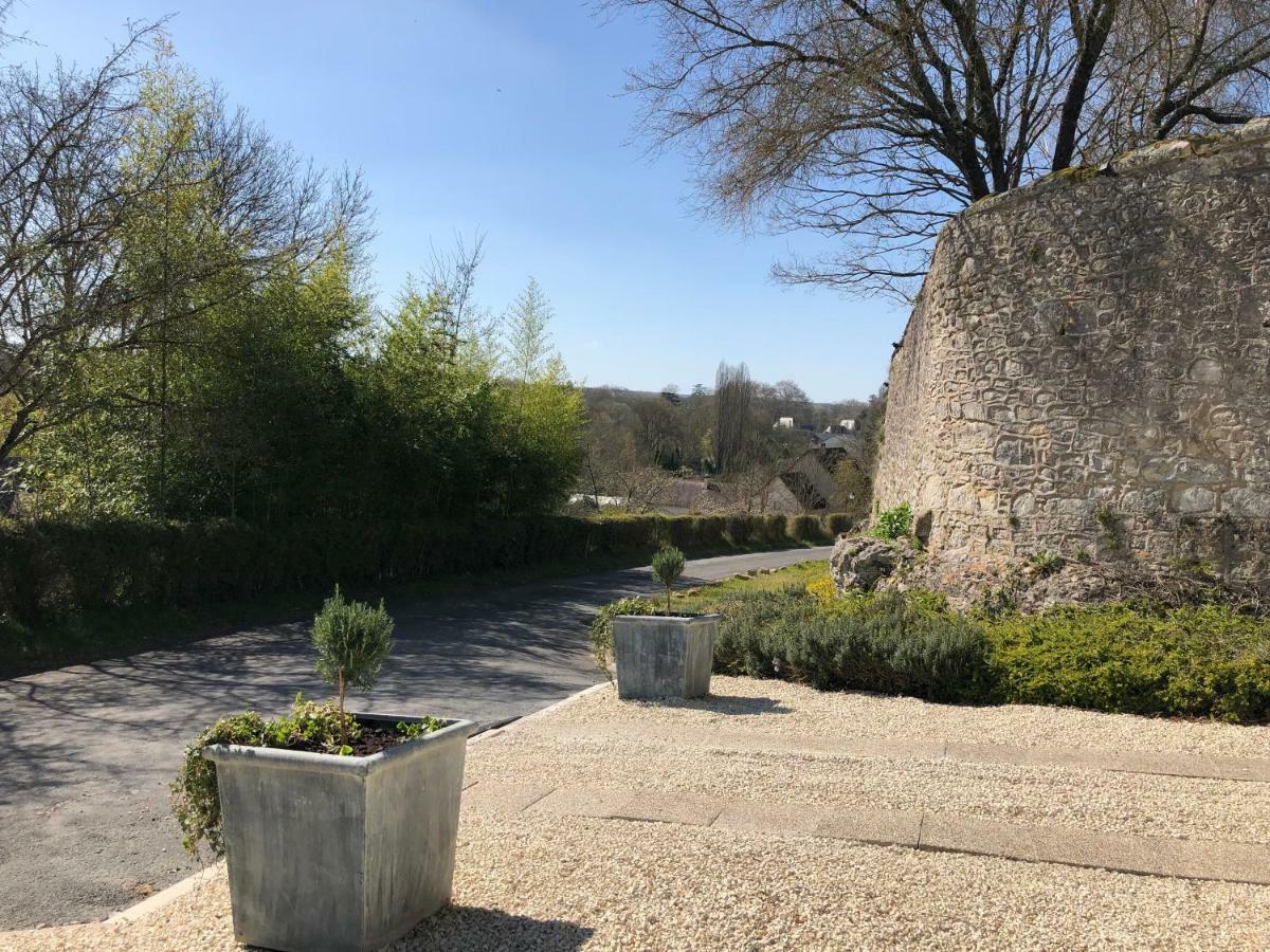 Domaine Plessis Gallu - Vacation Azay-le-Rideau